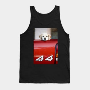 4 X PAW Yellow Labrador Tank Top